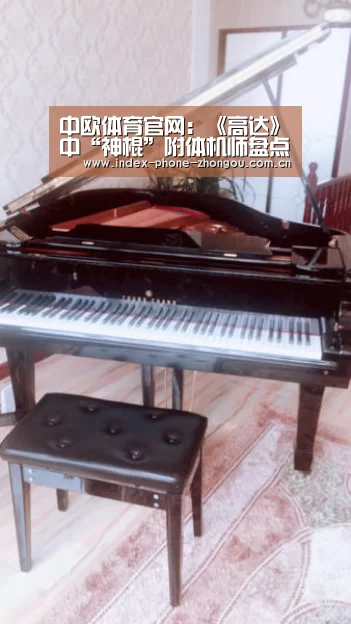 中欧体育