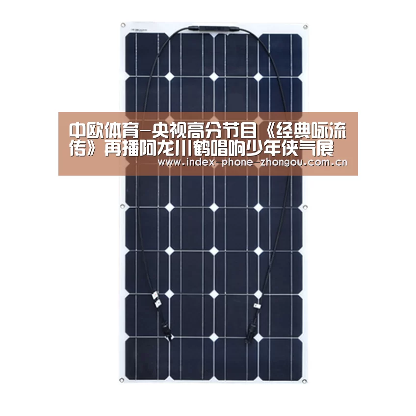 中欧体育-央视高分节目《经典咏流传》再播阿龙川鹤唱响少年侠气展担当(图2) 中欧体育平台